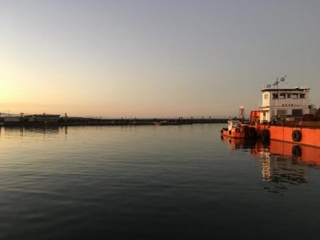夕方にサビキでアジを釣る